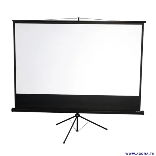 Écran Projection Havit PS100 221x124cm